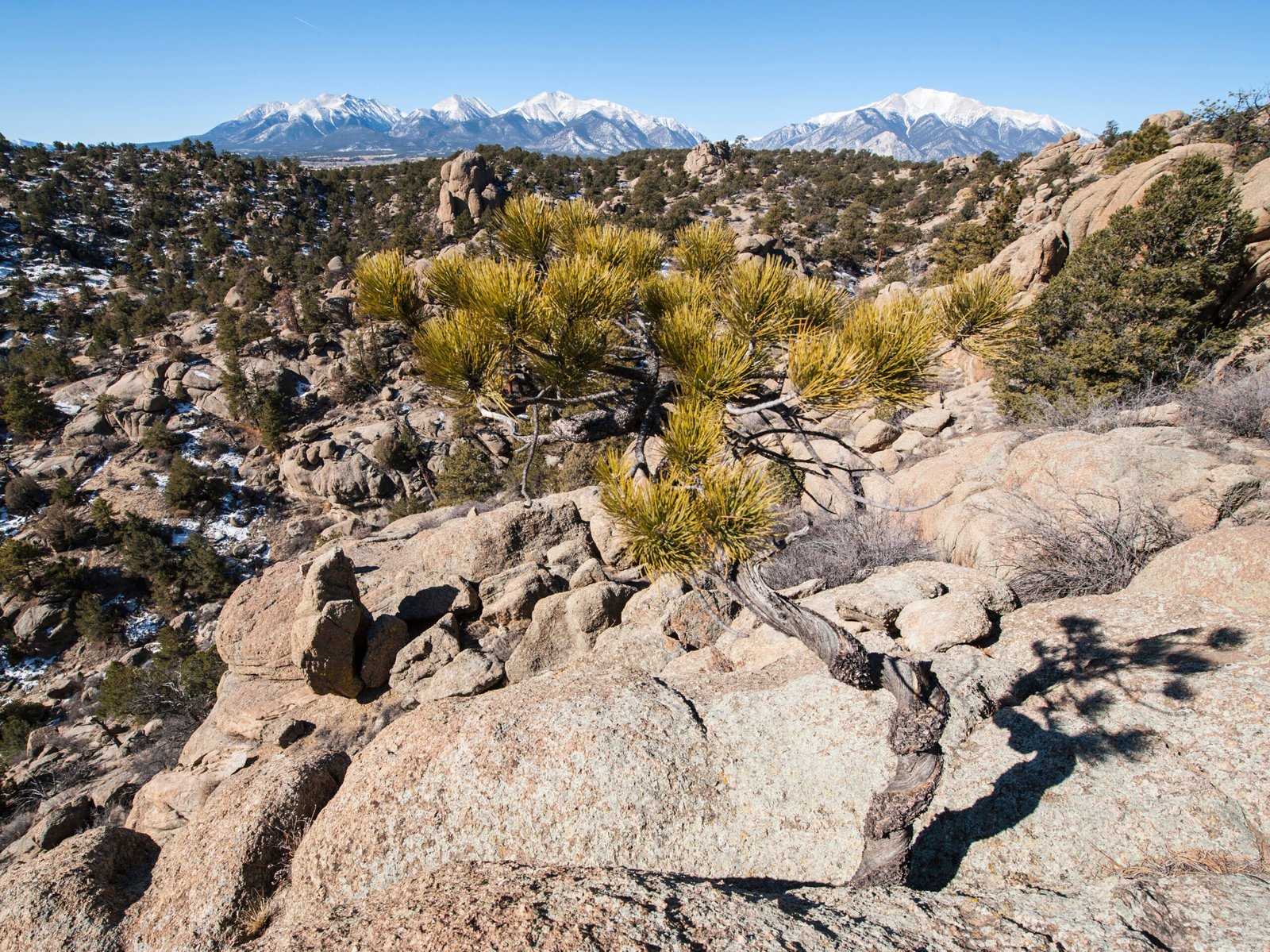 Browns Canyon National Monument along the Arkansas River.